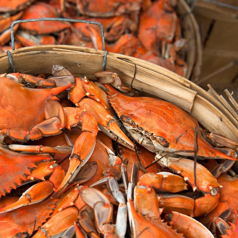 Crabs (Miles River), Large Cooked Dozen Profish